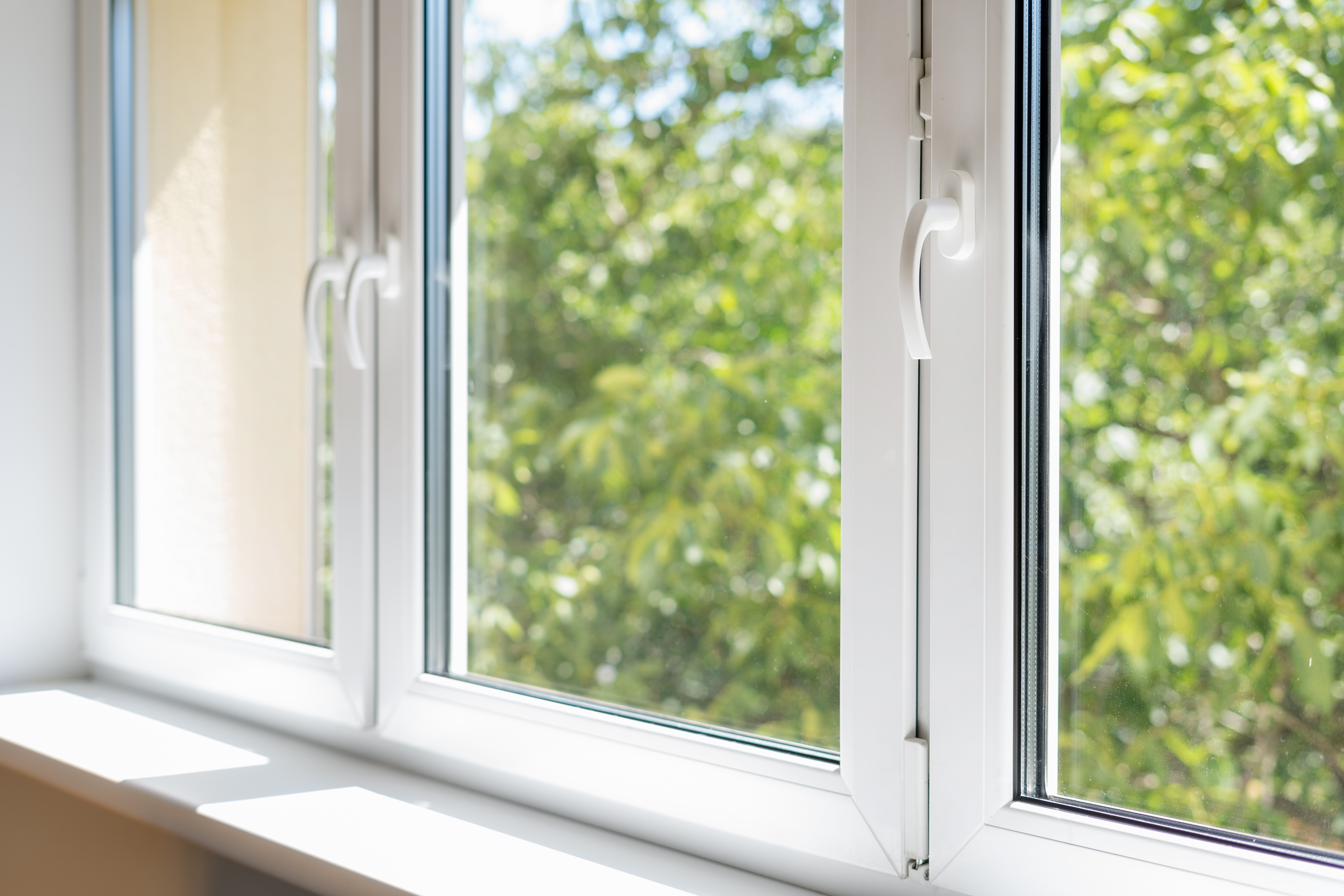 Fensterreinigung