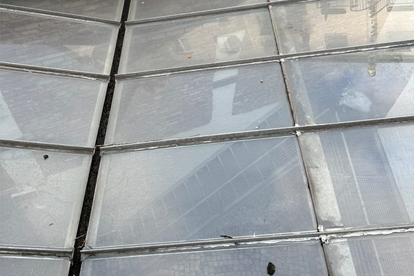 wintergarten reinigung